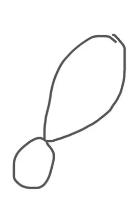 Profile image of しゅん