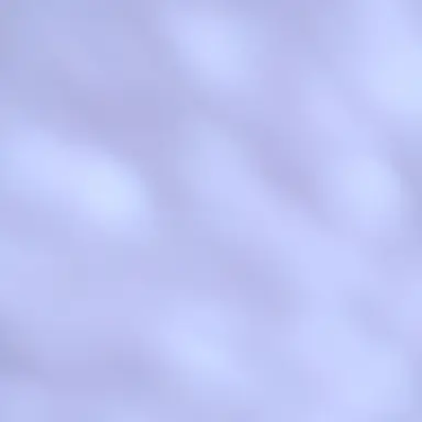 Profile image of ブリ子