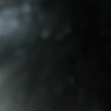 Profile image of Twixxle