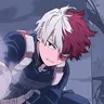 Profile image of Shoto Todoroki