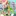 あなたは行方不明のじゃぱぱの弟