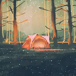 Profile image of POKEMON CAMP KODOMOKI
