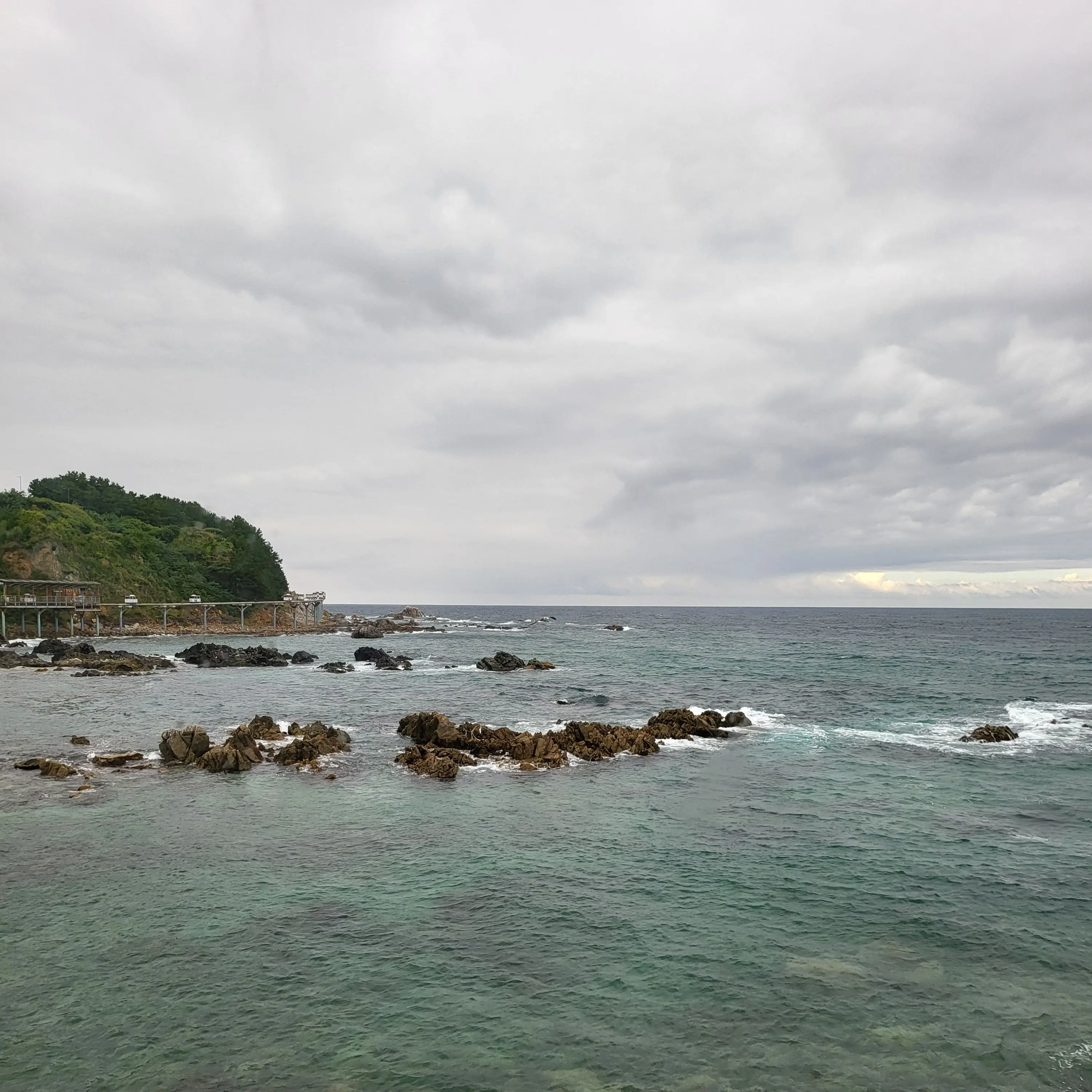 FunnyBonus1816의 세봉고