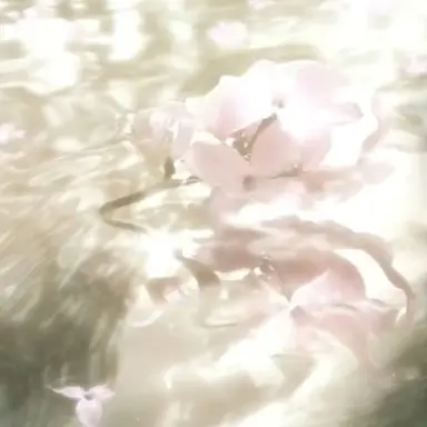 Profile image of 이하진