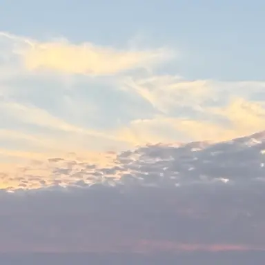 Profile image of 이리오