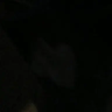 Profile image of ふわっち