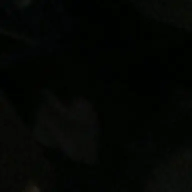 Profile image of かずは