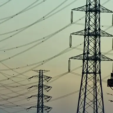 Profile image of 고고프렌즈