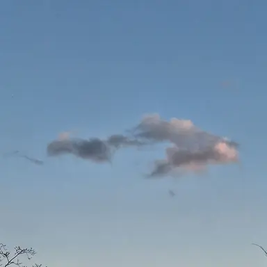 Profile image of 문시유