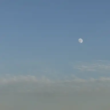 Profile image of 고죠 사토루