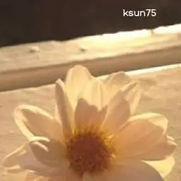 Profile image of 덕개