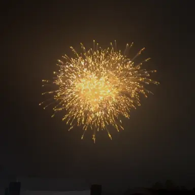Profile image of モモタロス