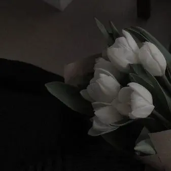 Profile image of 황수현