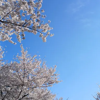 Profile image of 김 운 학