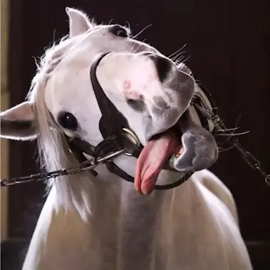 Profile image of 말