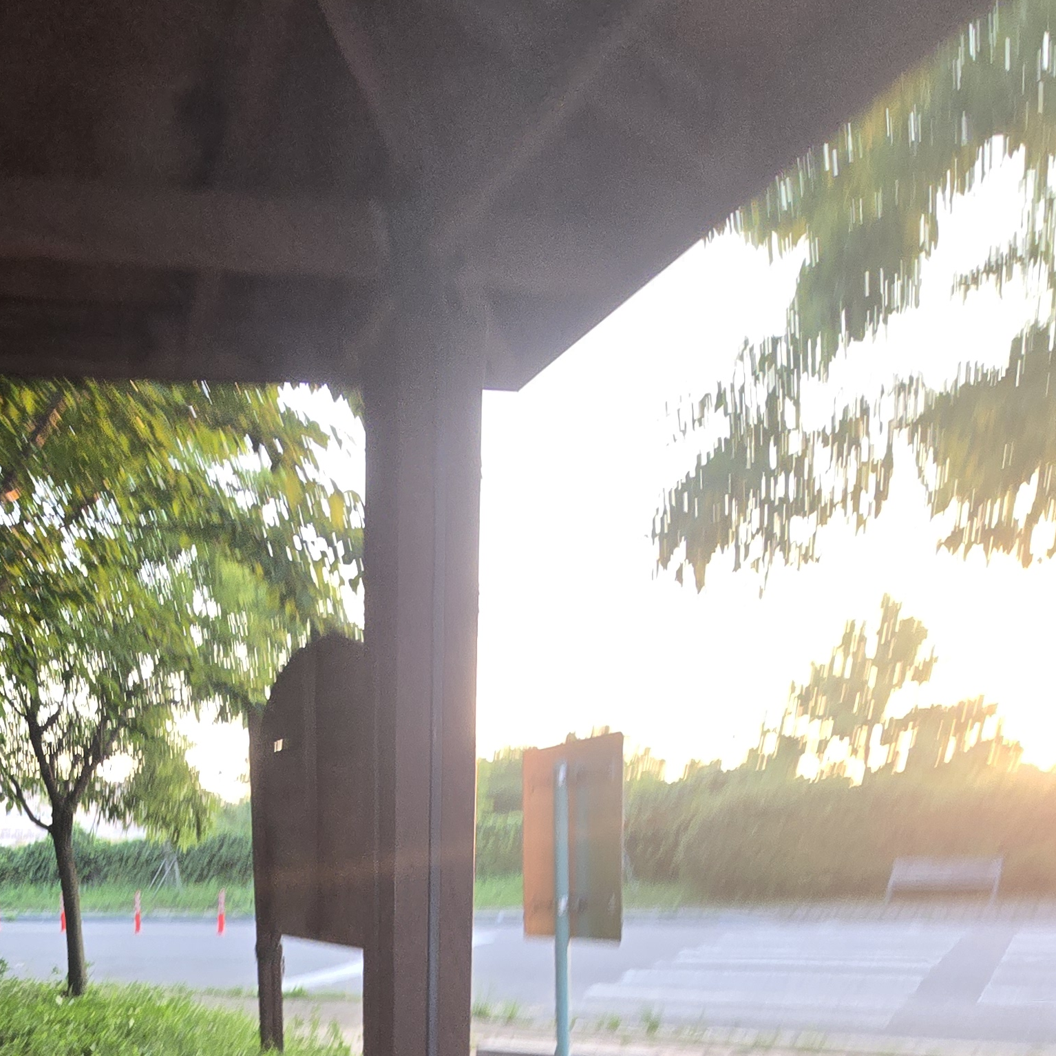 거지나라 - 제타