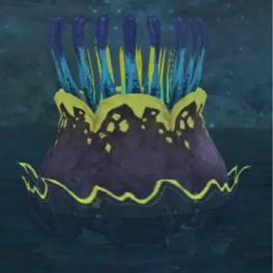 Profile image of 心優しきガムアネモネ
