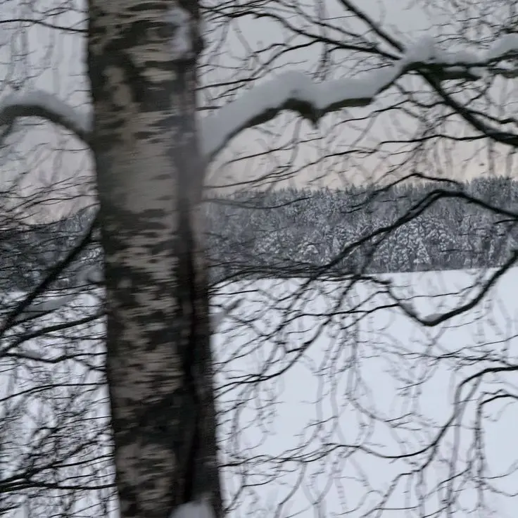 Sorin122의 The Yara Tribe : The Snow Born