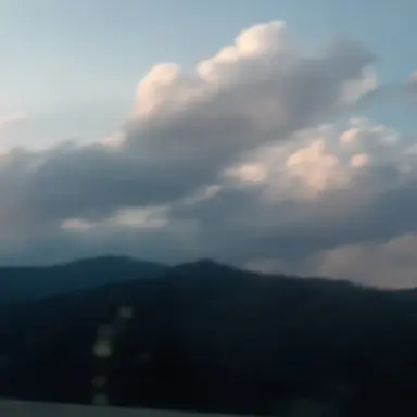 Profile image of 진금룡