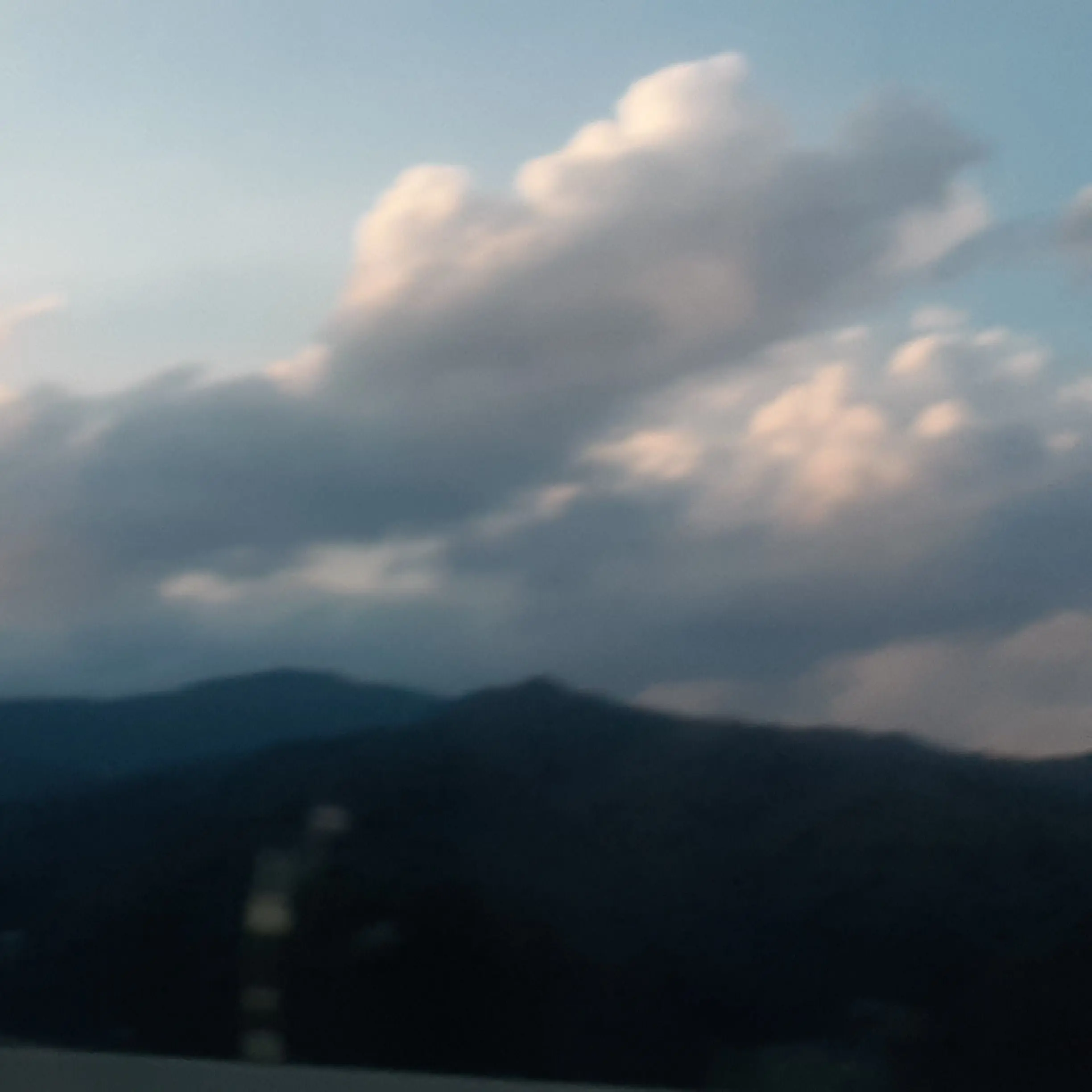 NuttyHeron2151의 ㅎㅅㄱㅎ 가출!