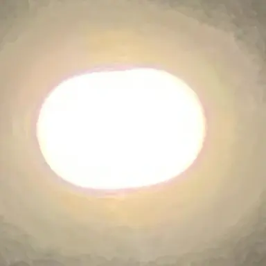 Profile image of 김유연