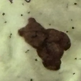 jiwoomarriedkyujin의 장규진