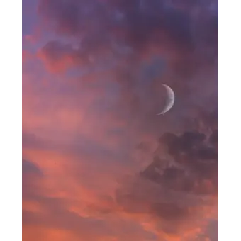 chochou의 다이어트