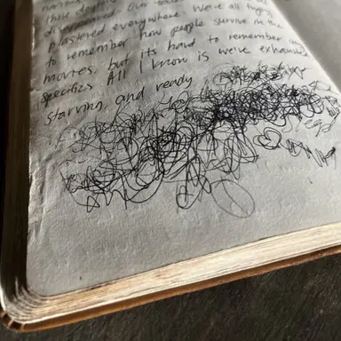 Profile image of Rowan