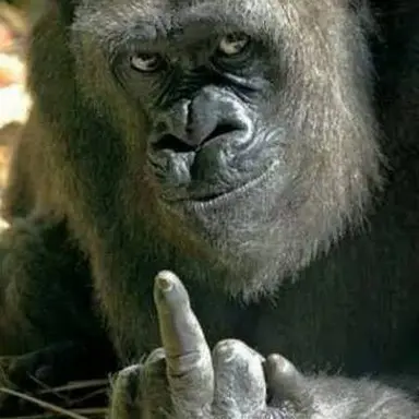 Profile image of 여우