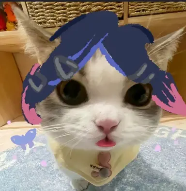Profile image of 클로브