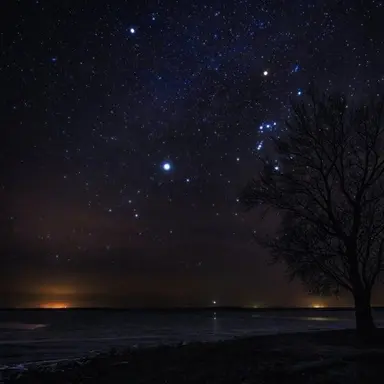 Profile image of 각 경사