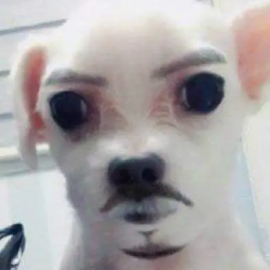 Nyaaaaaaa의 29