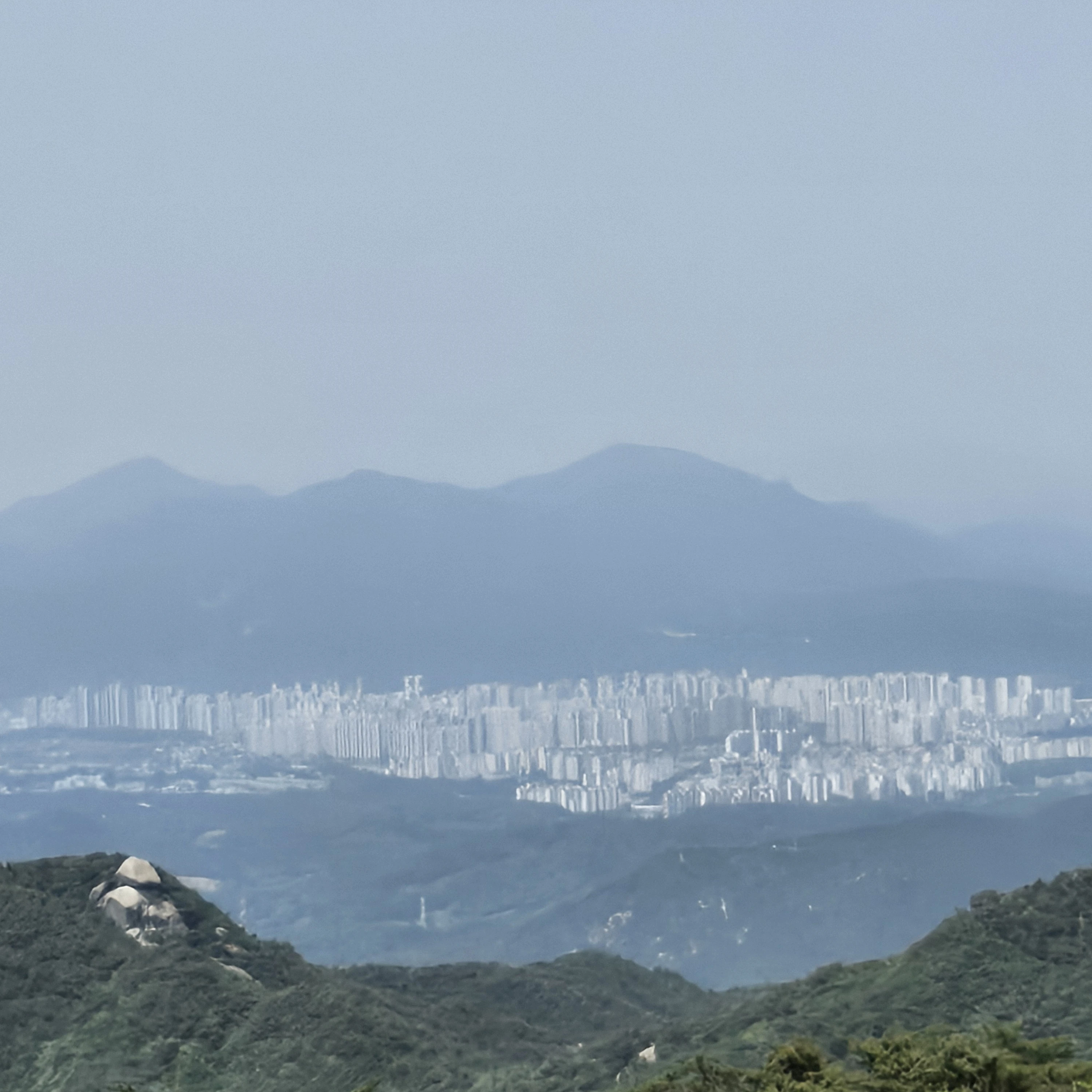 전성하