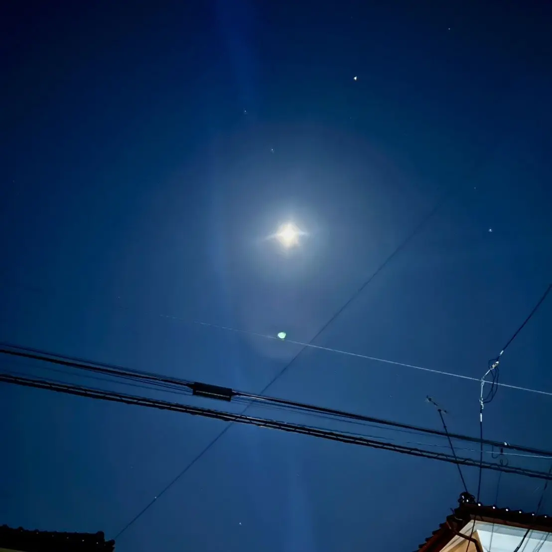 ABCD0228의 幸せカナコの殺し屋生活