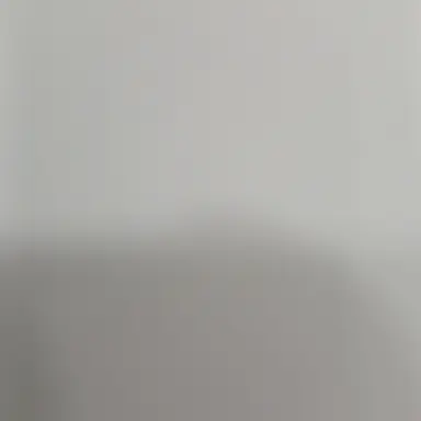 Profile image of 강영현