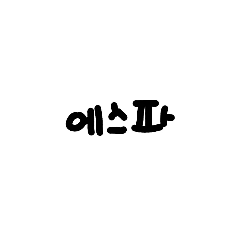 에스파 매니저