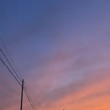 Profile image of ホリィ