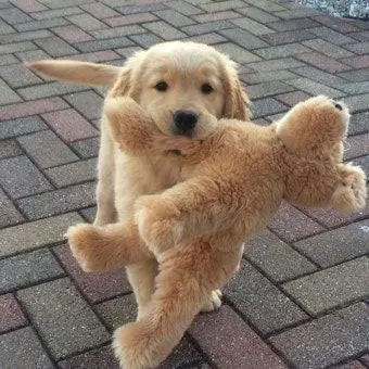 Profile image of 라떼