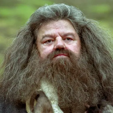 Profile image of Rubeus Hagrid