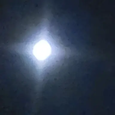 Profile image of 학생들