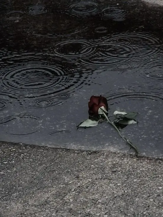 IM_Just_fool의 The Price of a Body