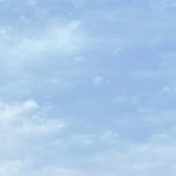 이헌