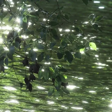 Profile image of 라이너