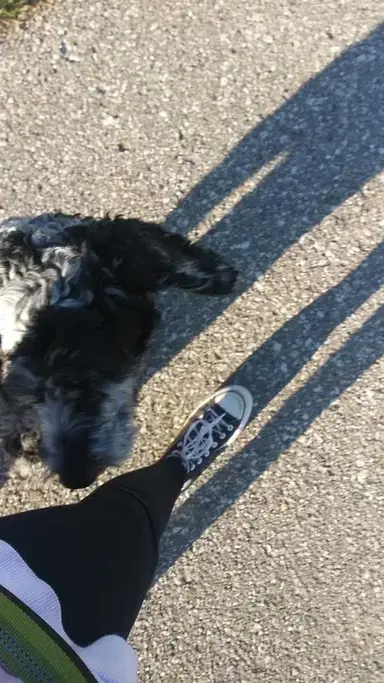 Profile image of -MHA meets a karen-