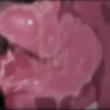 Profile image of 触手