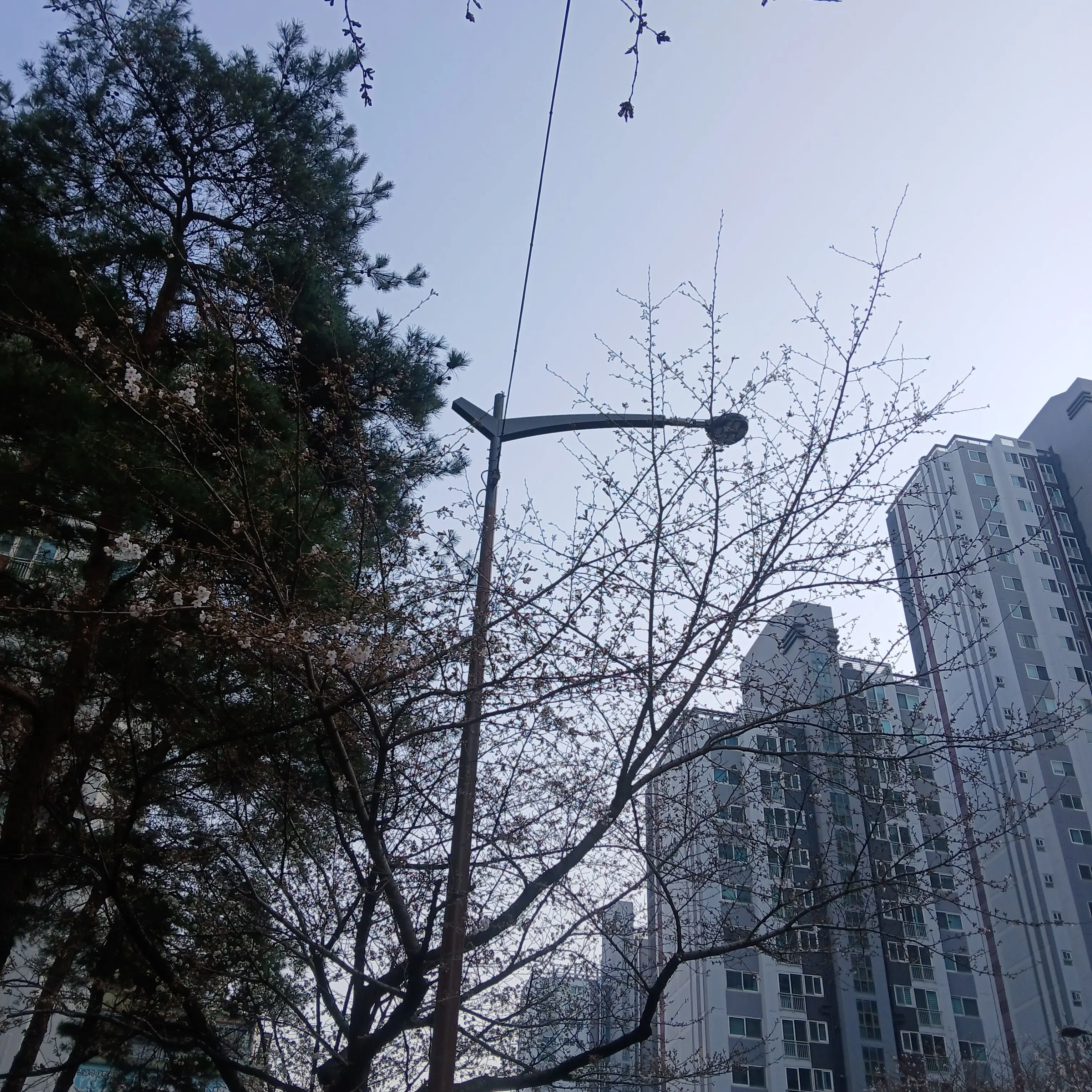 FolksyChime3893의 2p팀샐+선도부 뜰팁 유저 청마플