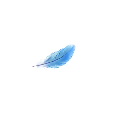 Profile image of 파이브