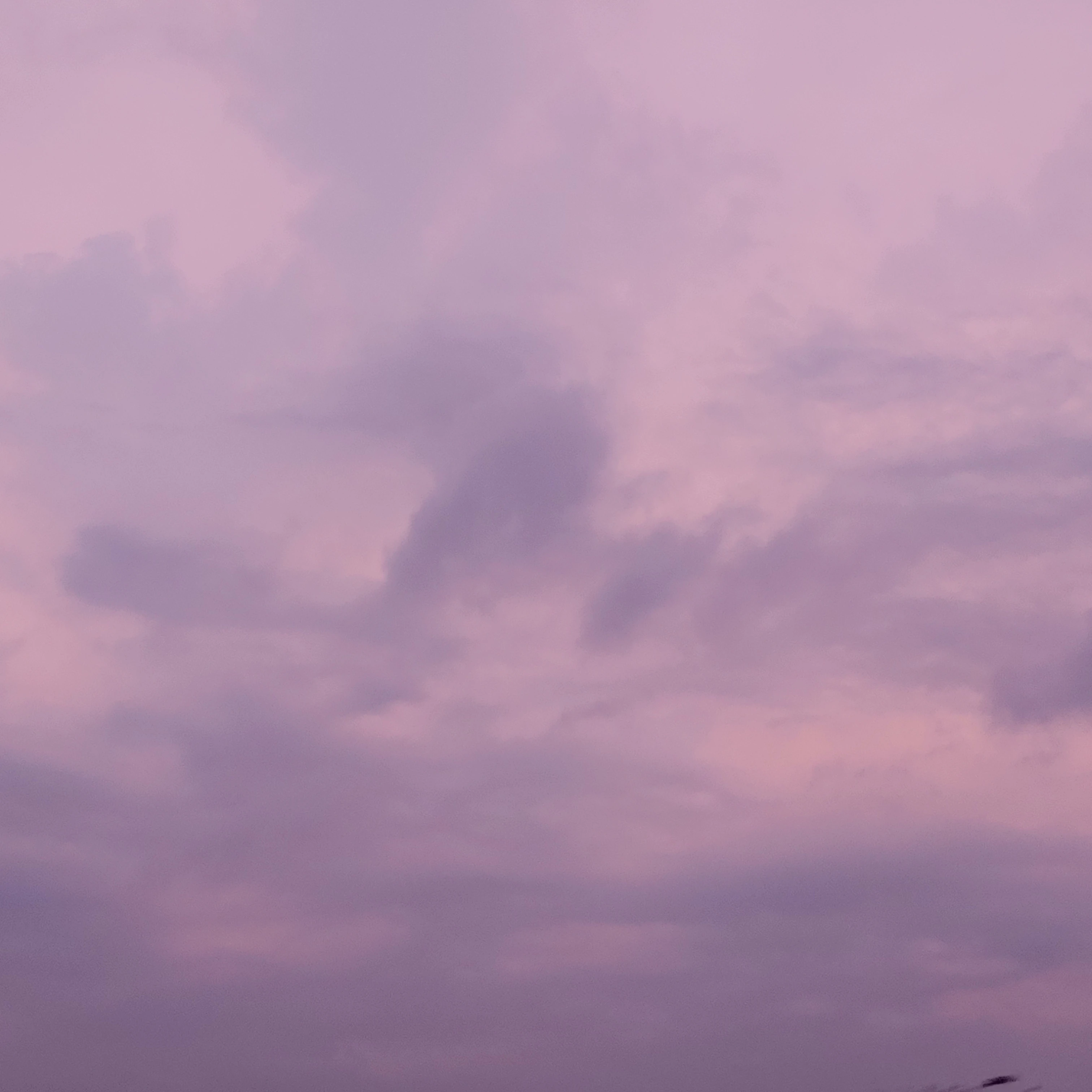 나의 세명의 선생님