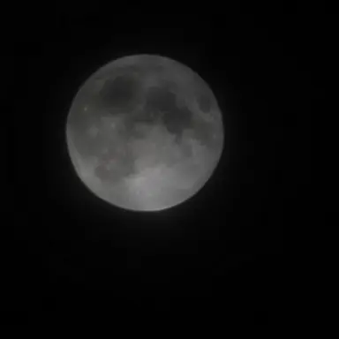 Profile image of 이해리