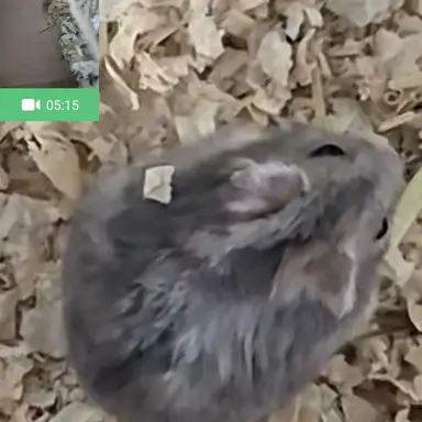 Profile image of 유기사